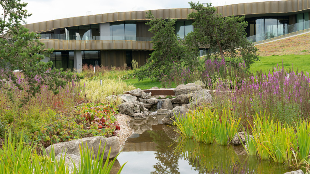 Природный сад. Жуковка XXI век. 2017-2018 гг.