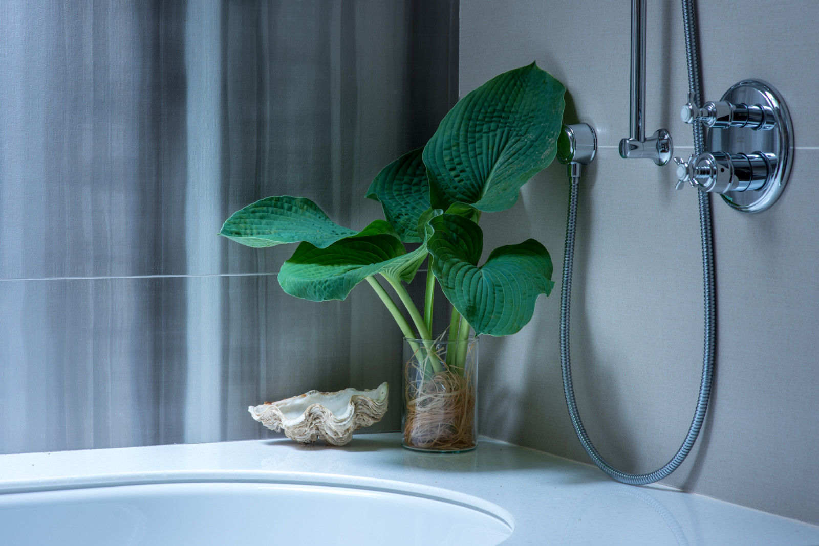 Съёмка дома (450м) - проект f Татьяны Осиной и Елены Бурмистровой, Бюро Idea B&O