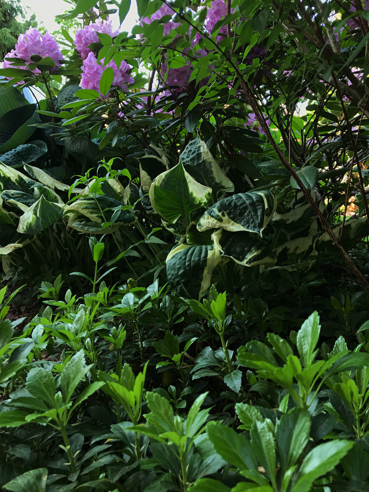 Обложка проекта: КП Княжье Озеро