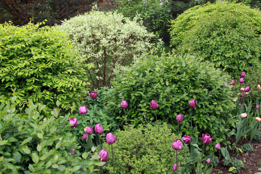 Сад в Серебрянном Бору