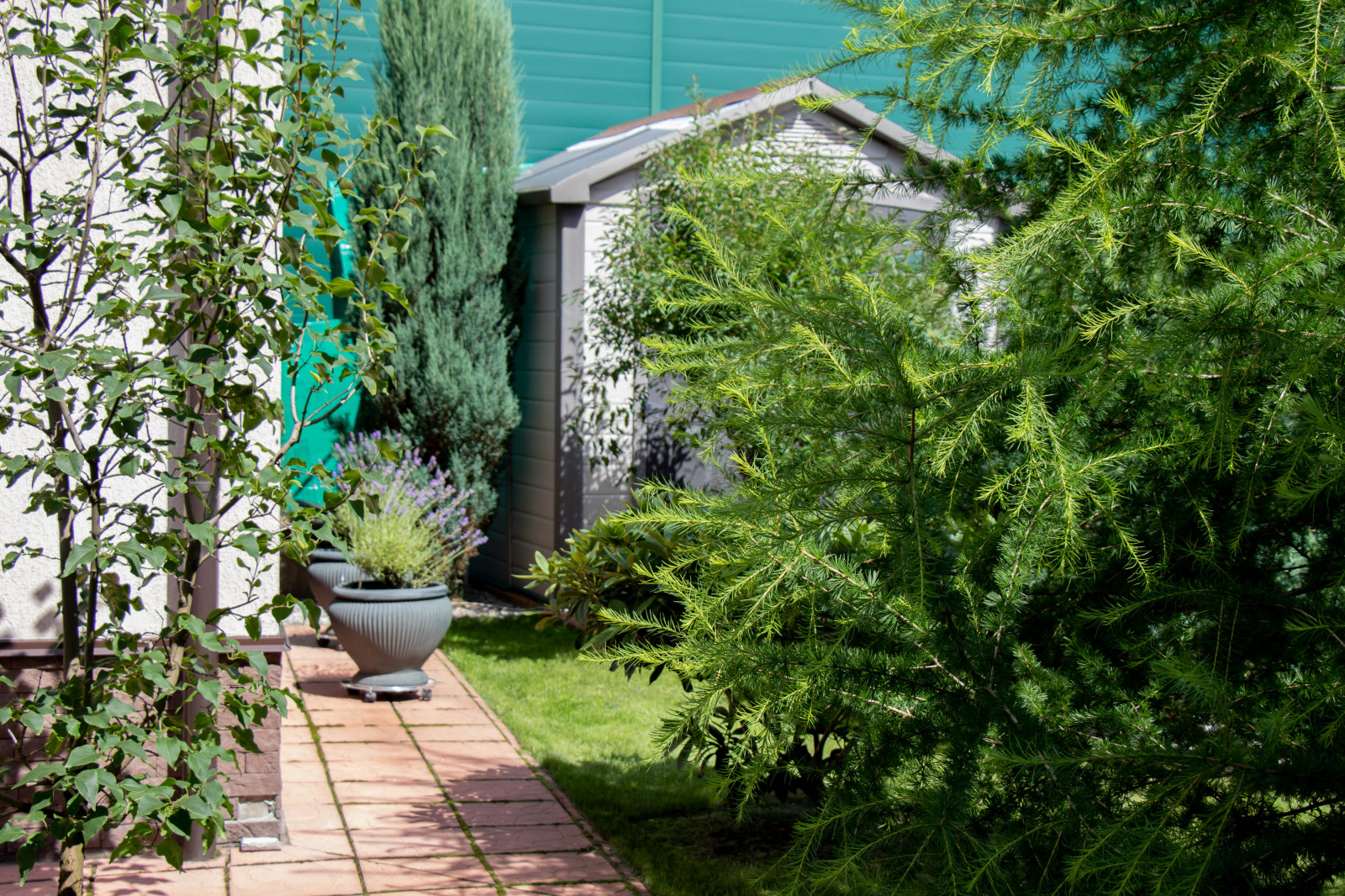 Французский садик в поселке Рыбаки Дмитровское шоссе