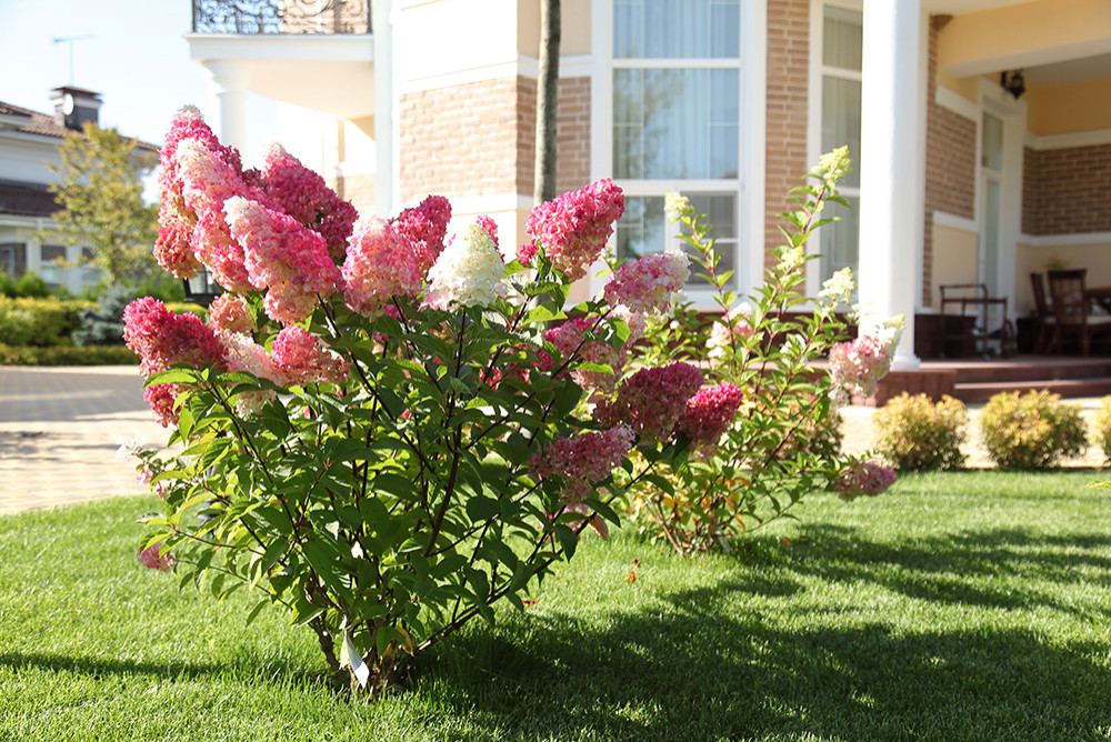 КП "Монтевиль". Ландшафтный дизайн.