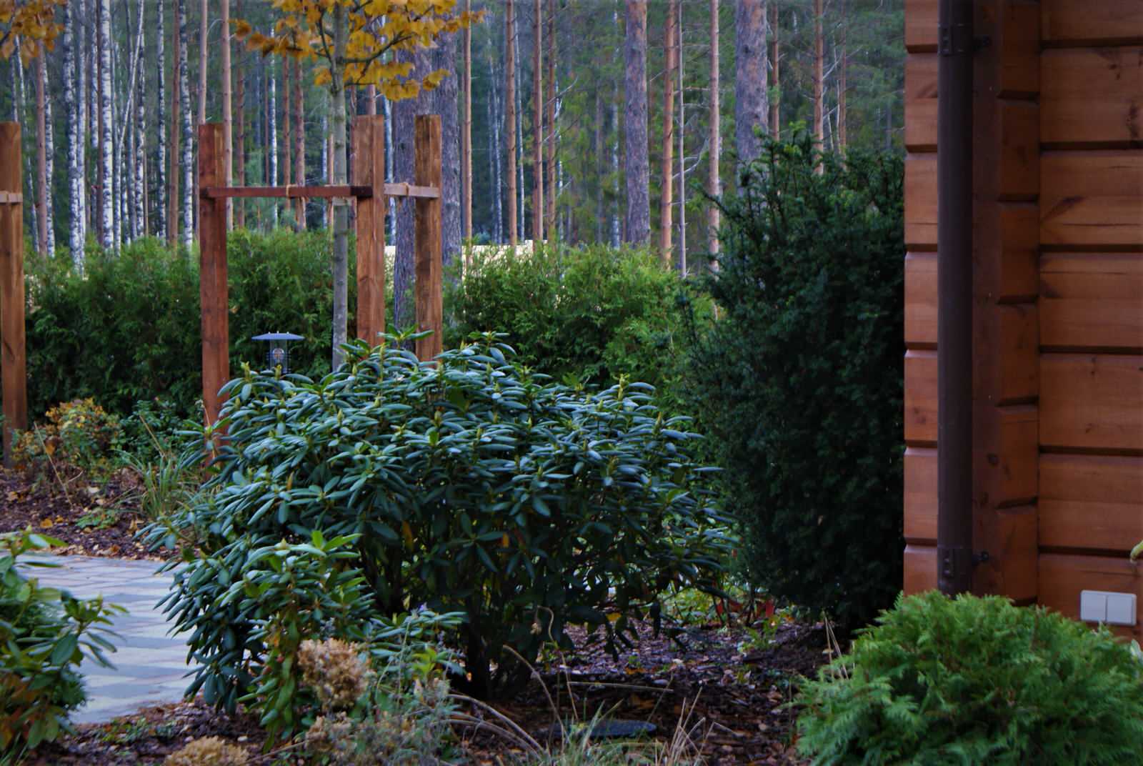 Северное поместье