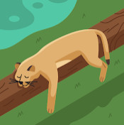 Vositkxon Yoqubjanov