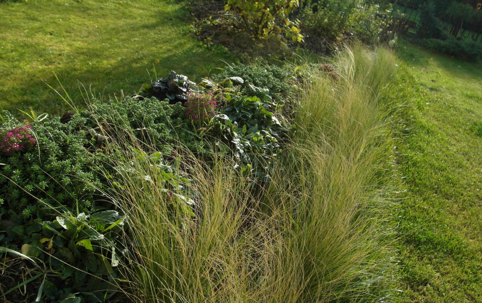 Обложка проекта: Геопластика