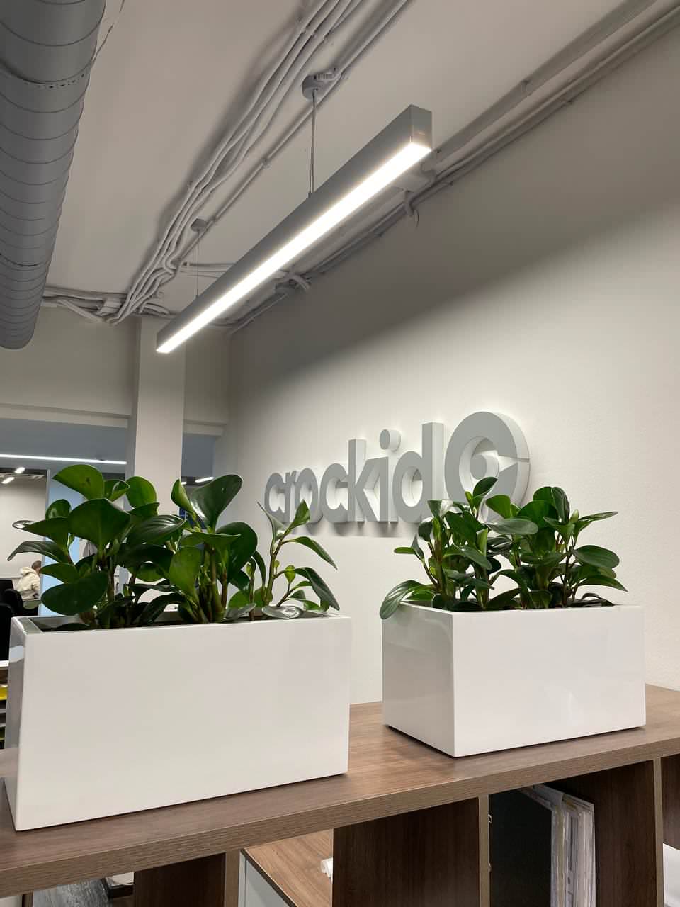 Офис компании CROCKID г. Санкт-Петербург
