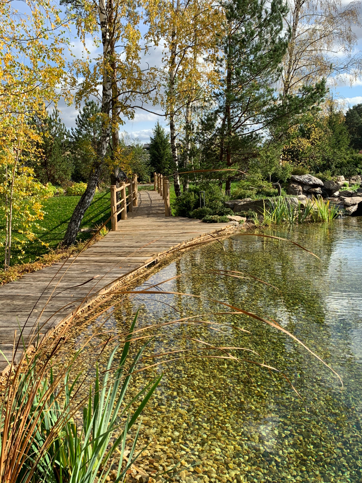 Проект сада с водоемом