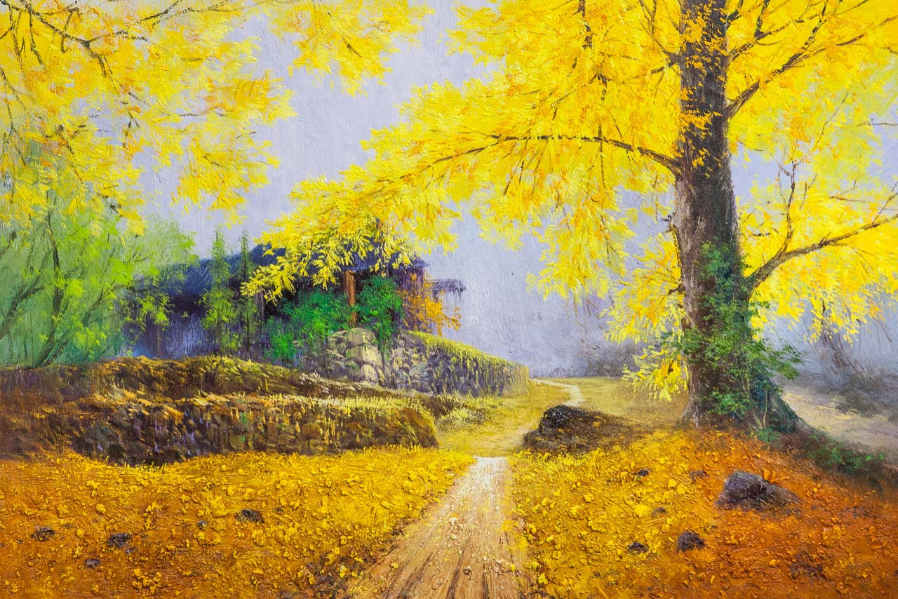 Ловя листвою солнце