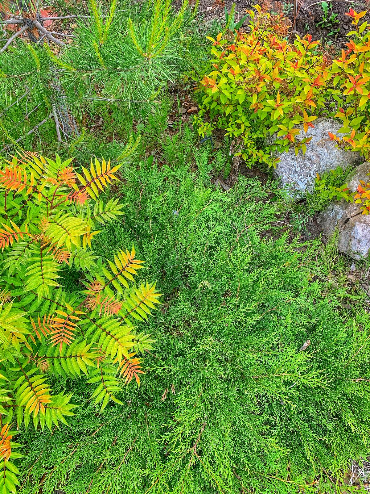 Ландшафтный дизайн в п. Молодёжный (Иркутск)