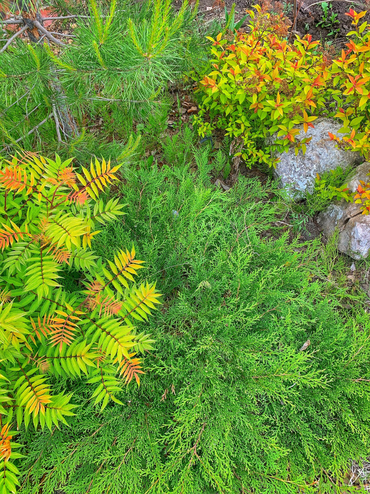 Ландшафтный дизайн в п. Молодёжный (Иркутск)