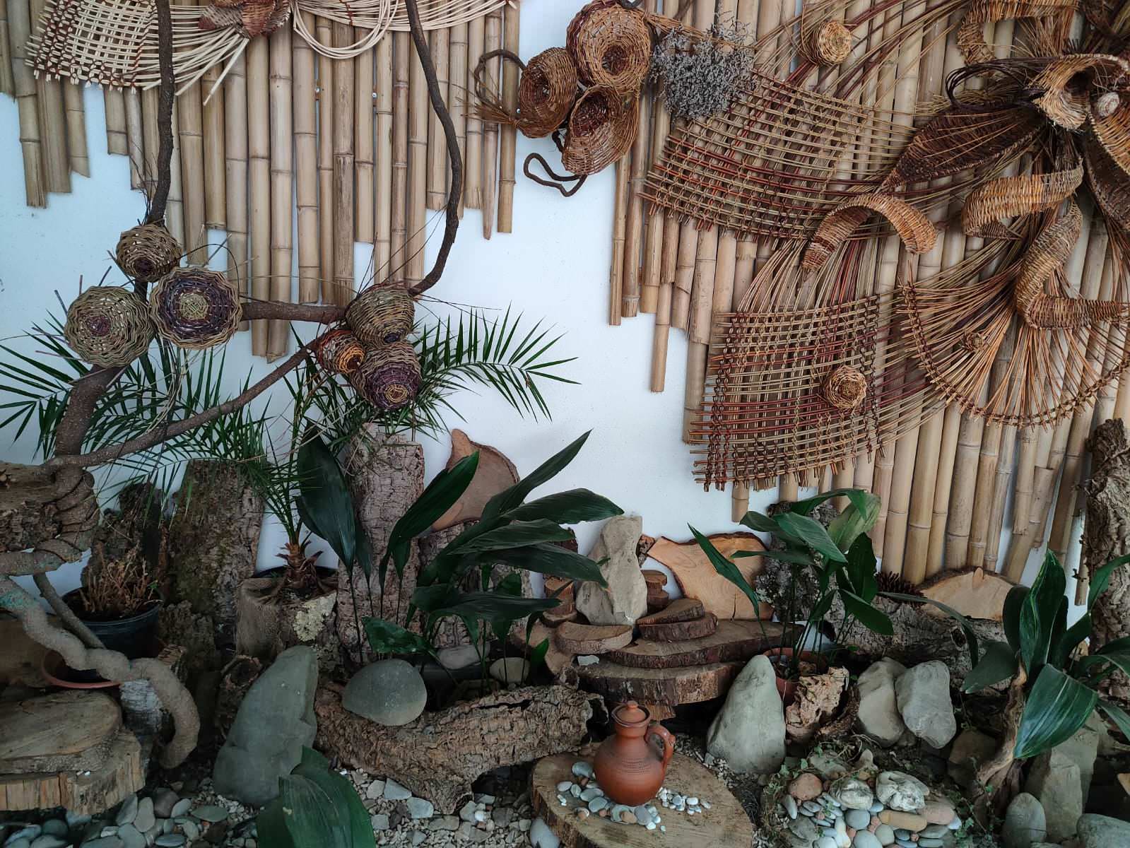 Дендрарий г. Сочи