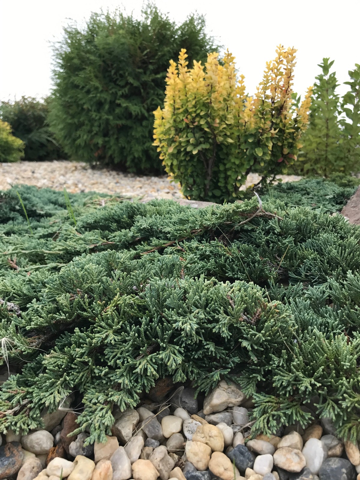 Боярская Станица