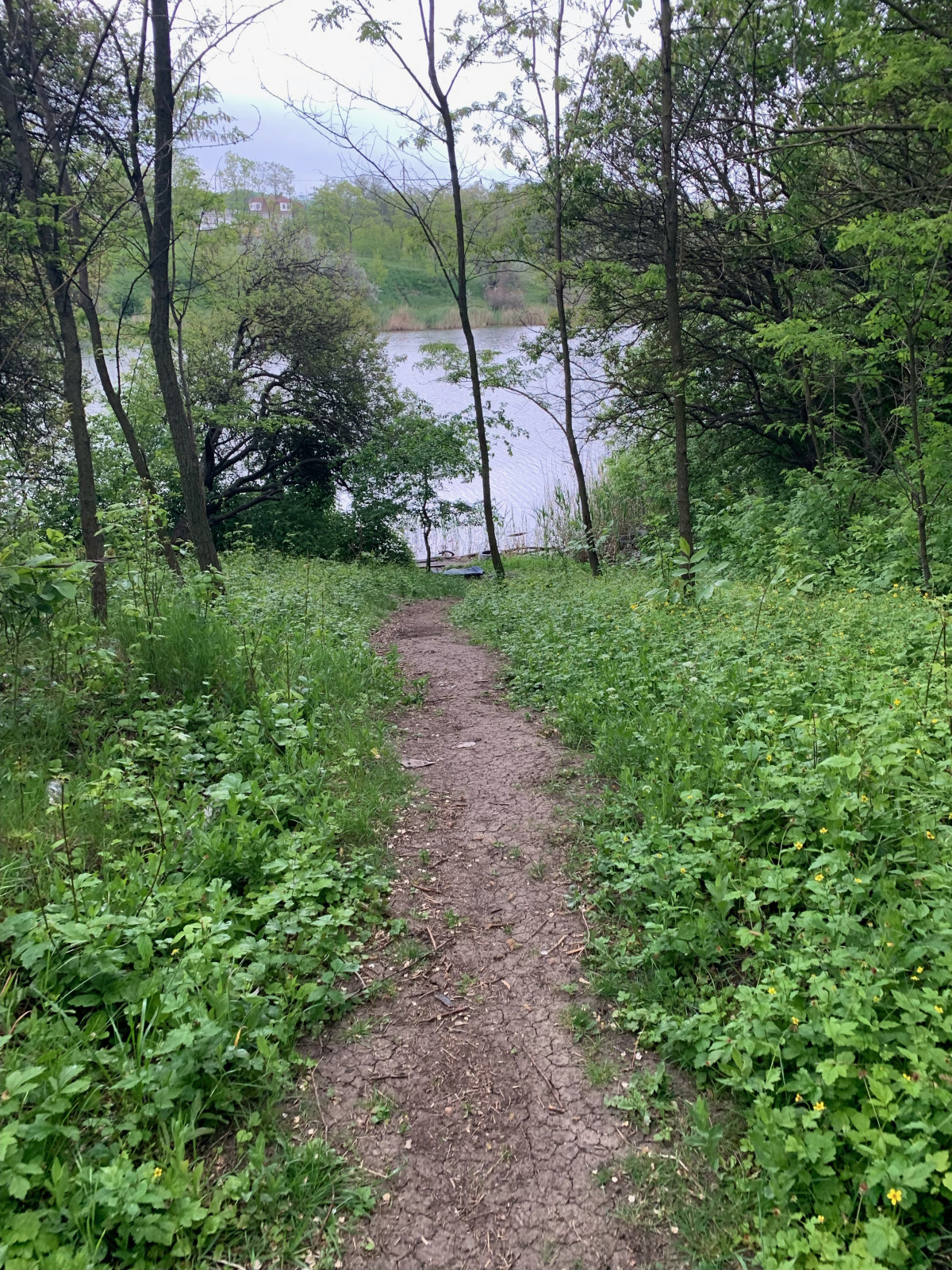 Баса отдыха. Кумжинской роща, берег Дона