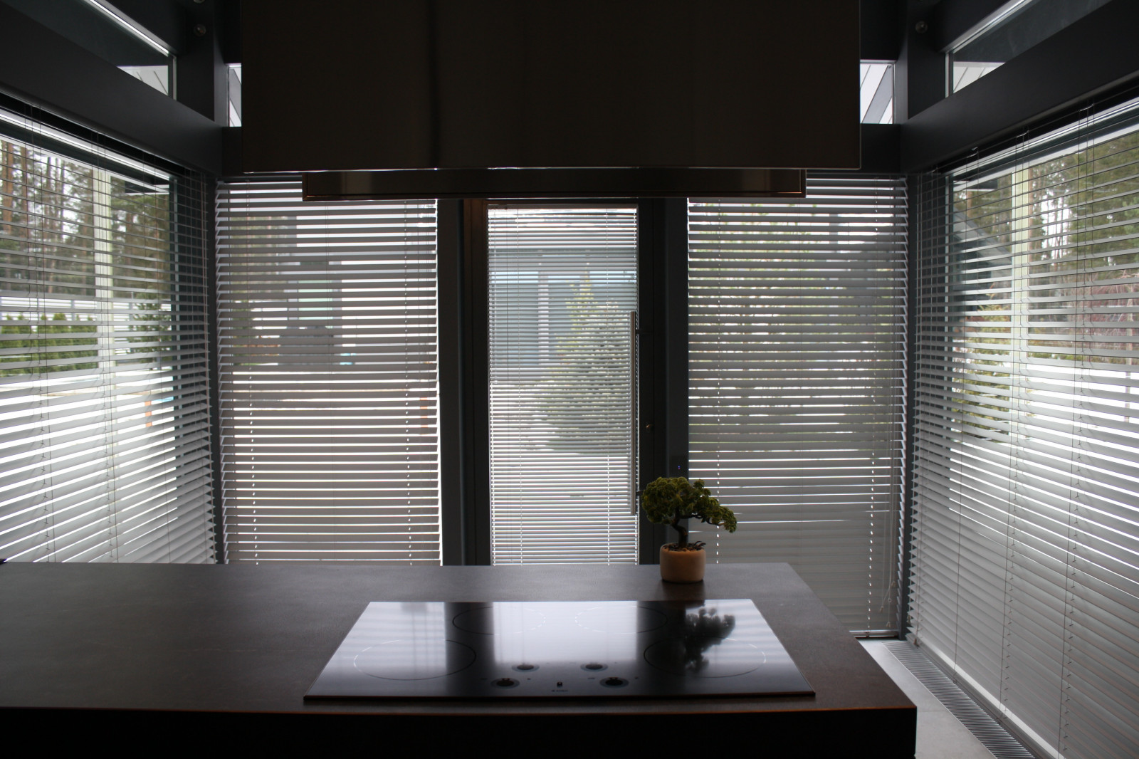 Решение по шторам для стеклянных стен дома Фахверк.