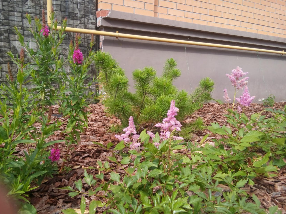 Пейзажный сад в п. Кедровый