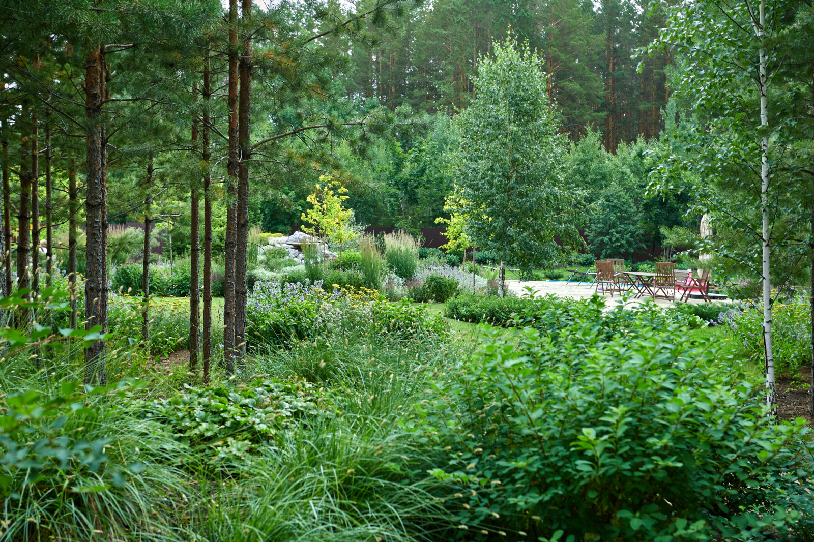 Лесной сад