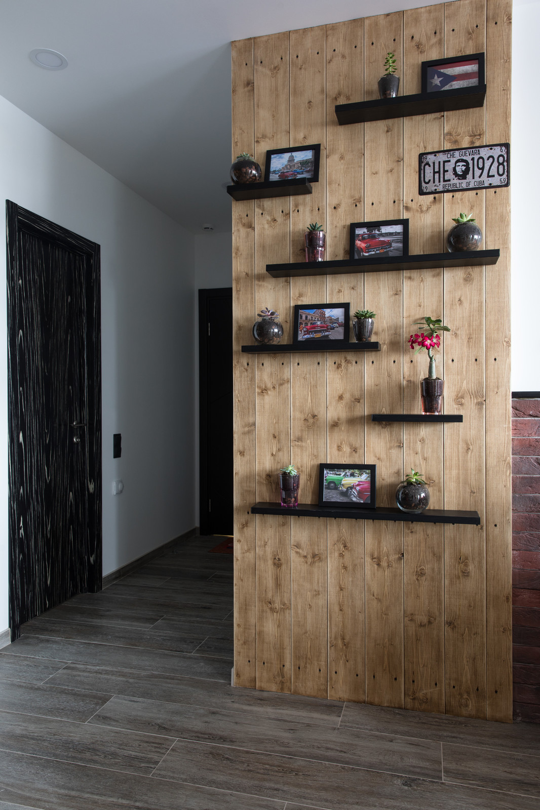 Студия под сдачу