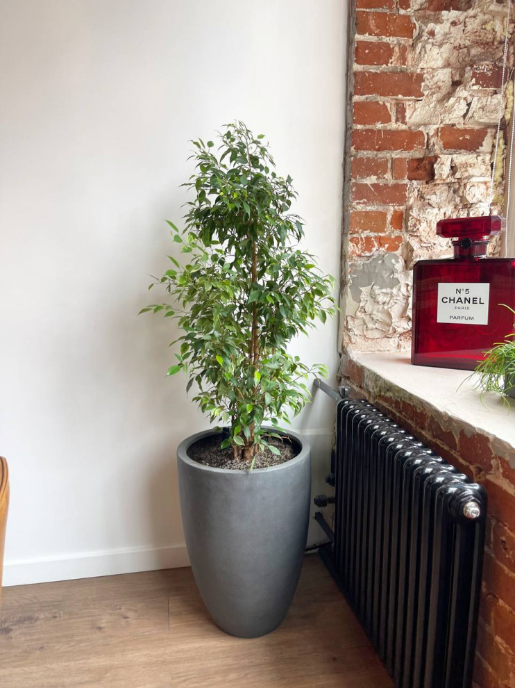 Шоурум Monncashmere