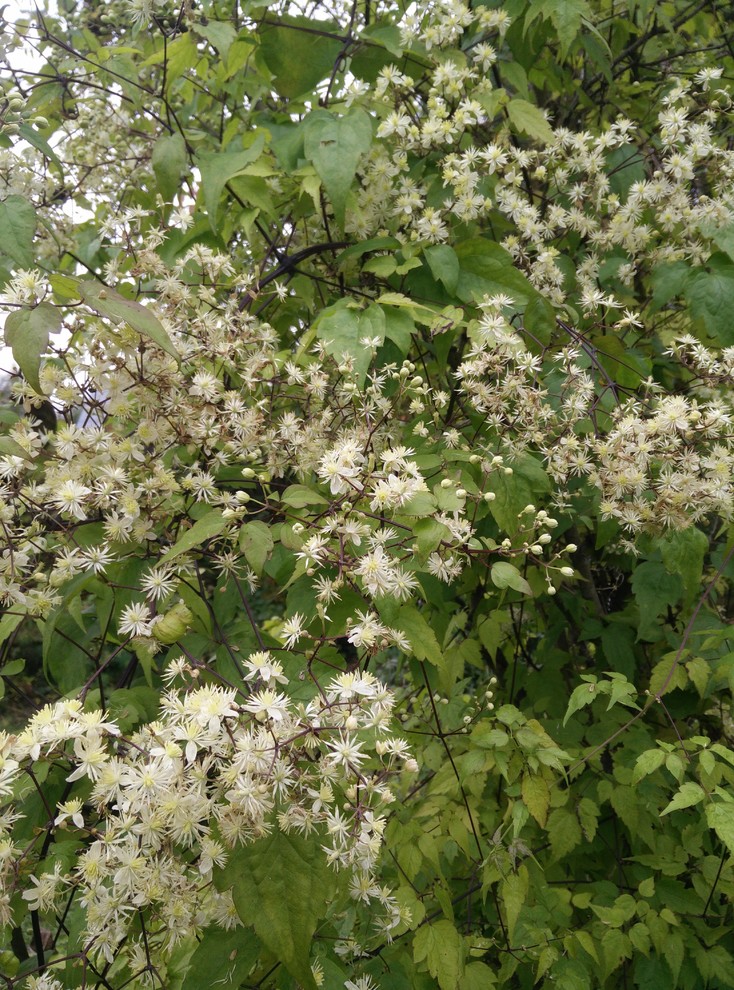 Обложка проекта: Красив в любое время года