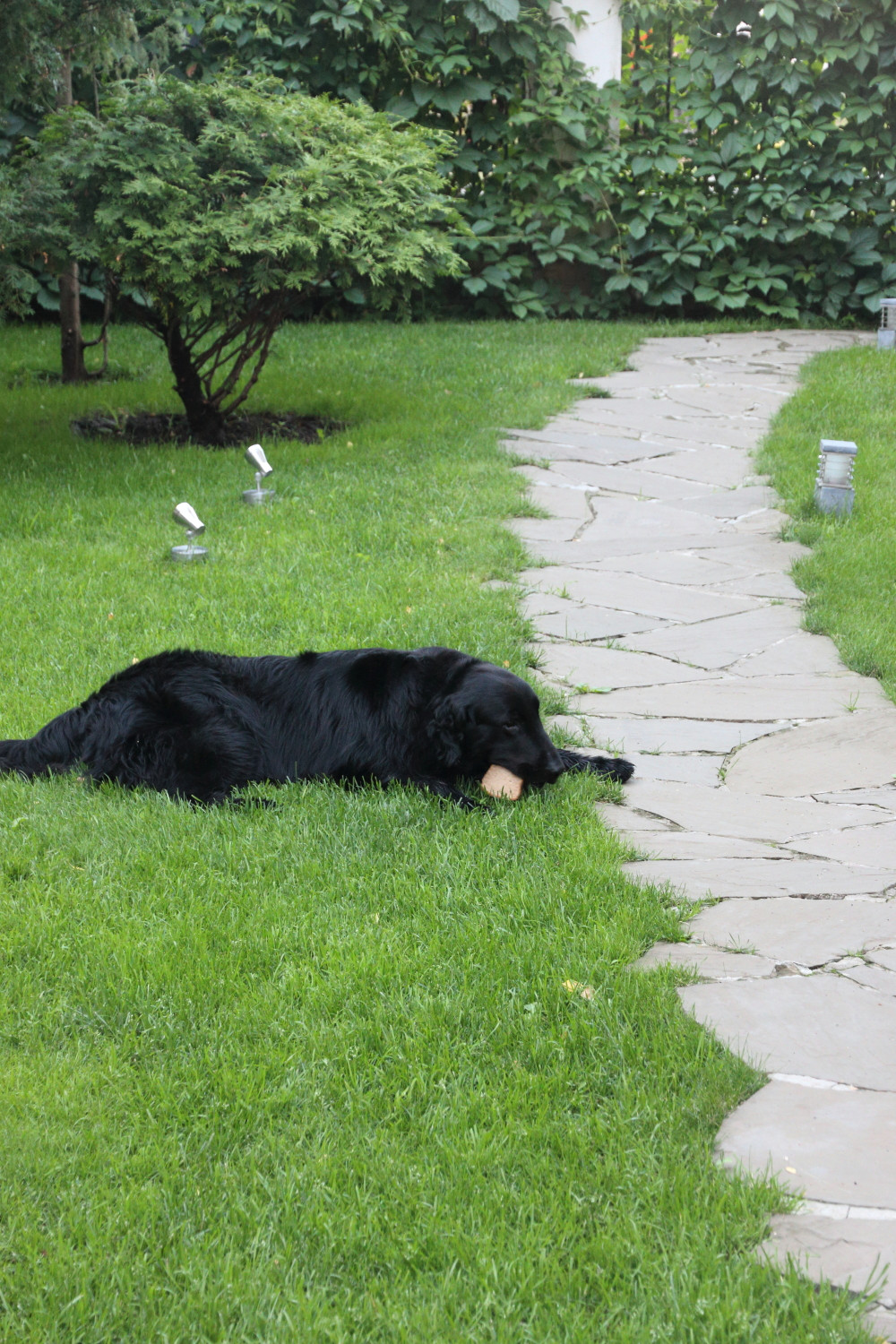 Коттеджный поселок. Руза