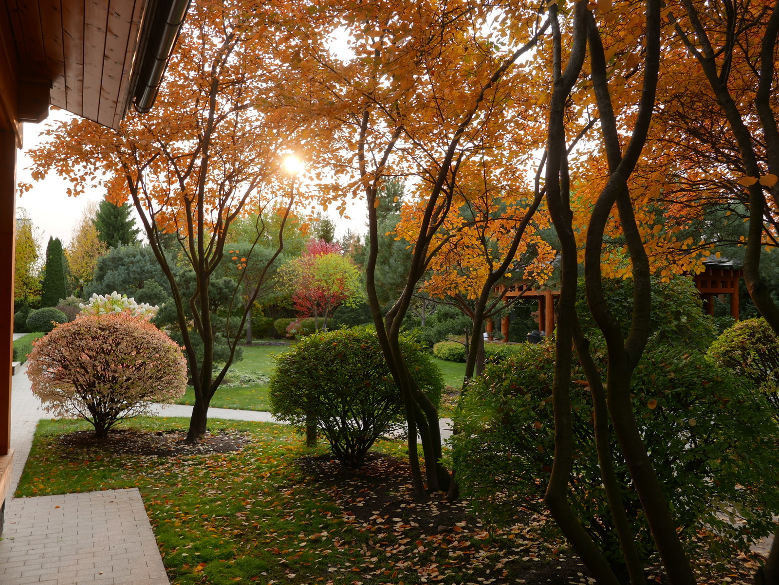 Обложка проекта: Современный взгляд на классику