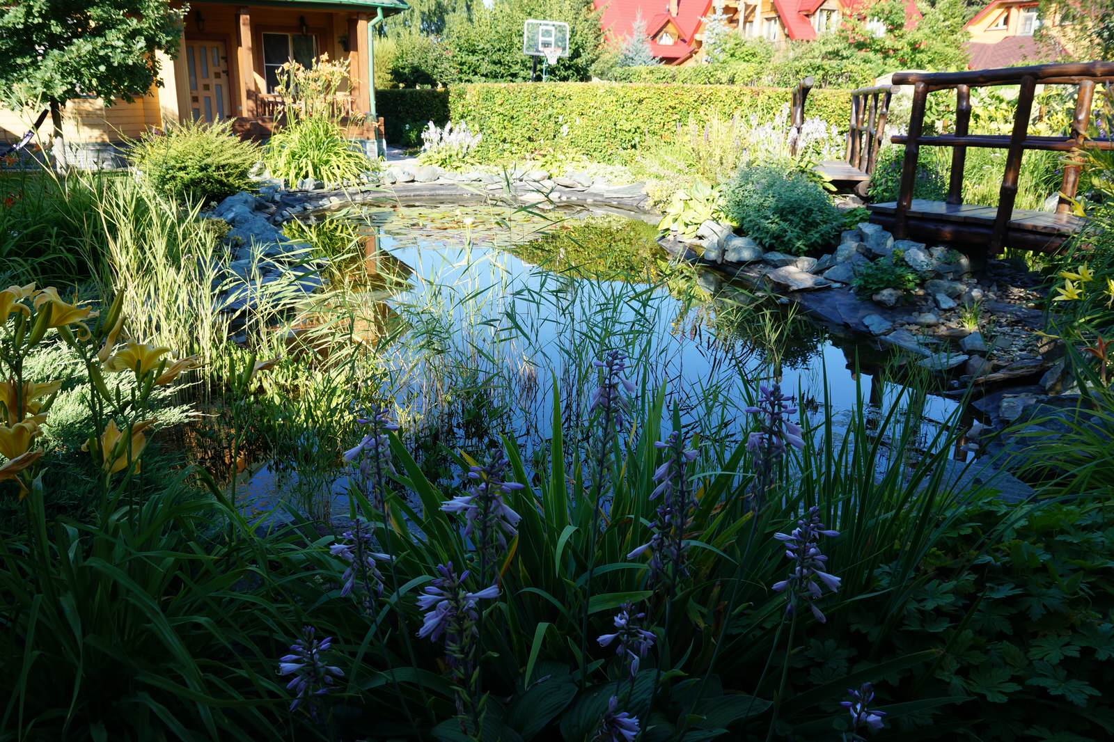 Сад с озером