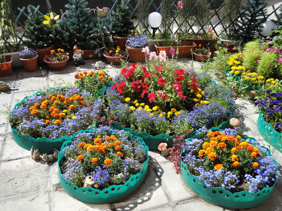 Сад на террасе