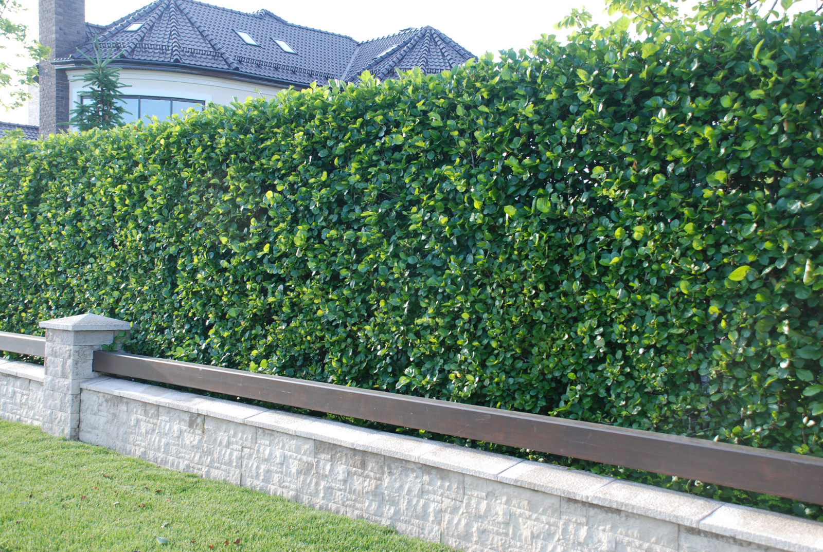 Семейный сад в Миллениум Парк