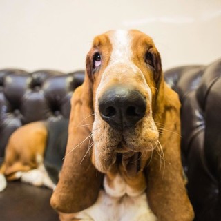 Крутова Алена