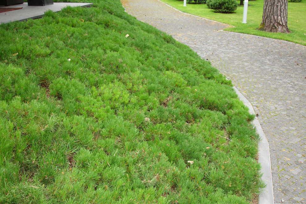 Ландшафтный сад в Горках 2