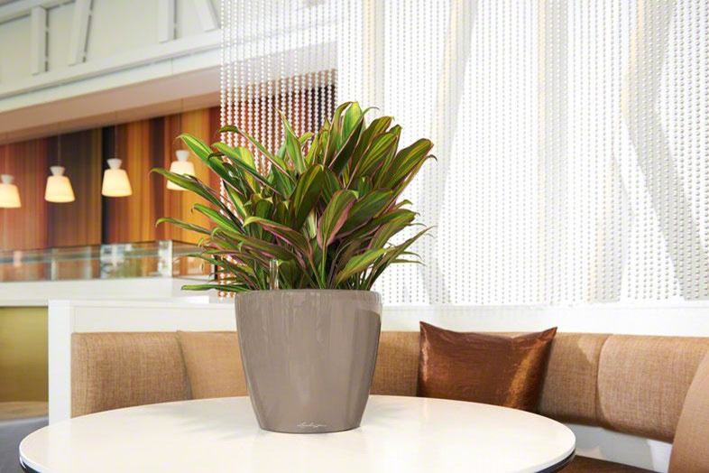 Лучший выбор