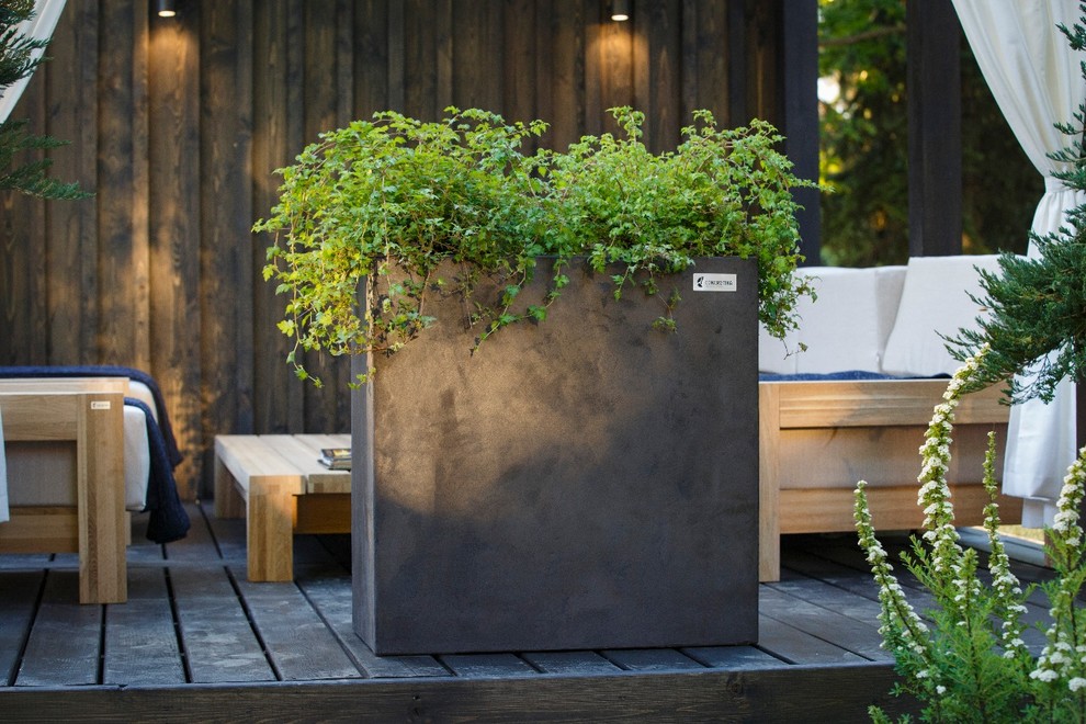 Фестиваль "Moscow Flower Show"