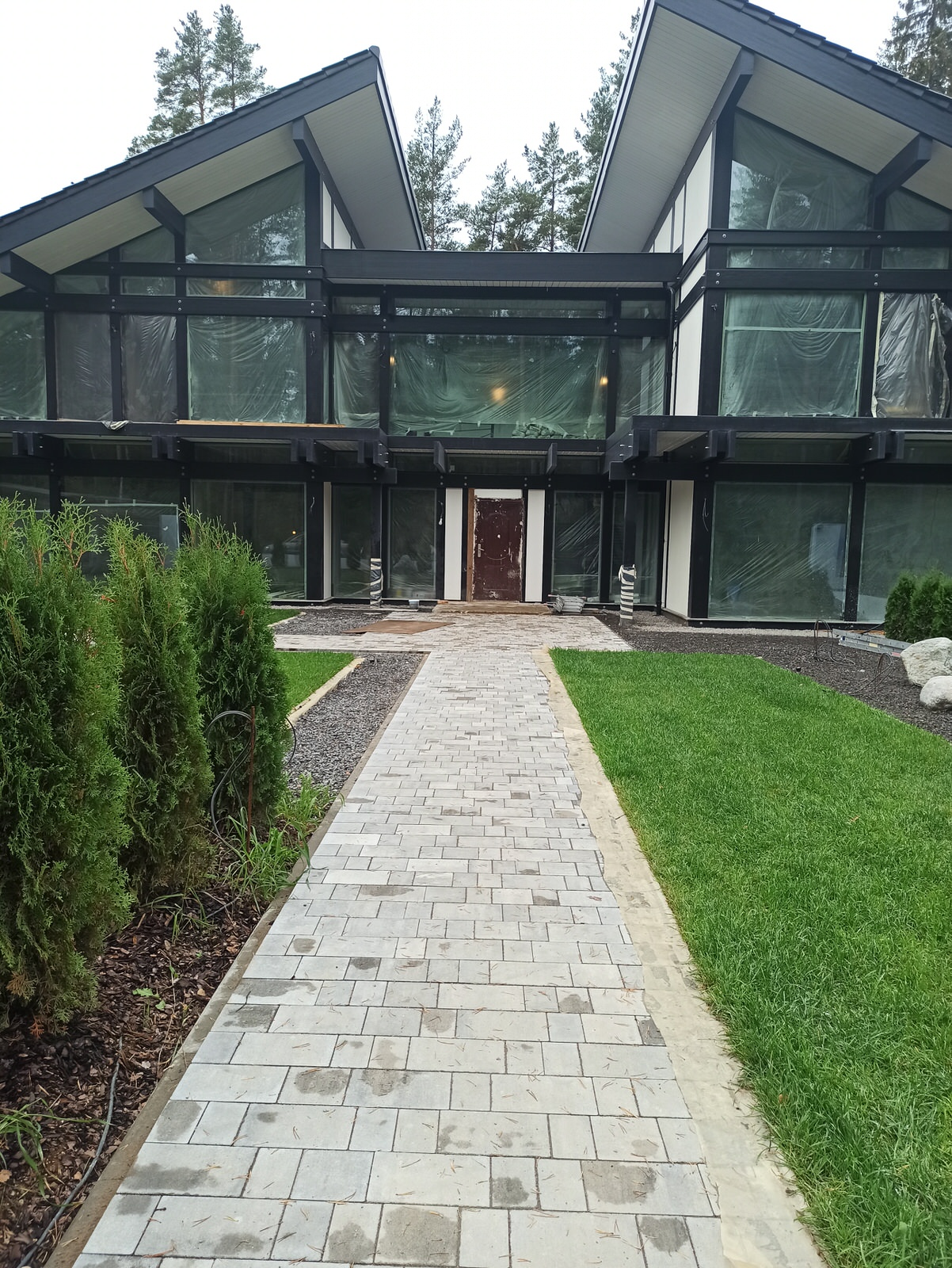 Обложка проекта: Стекло, камень и сосновый лес