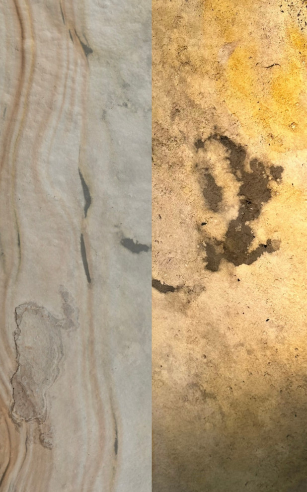 Обложка проекта: Indian Autumn T.