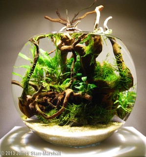 Абу Закария