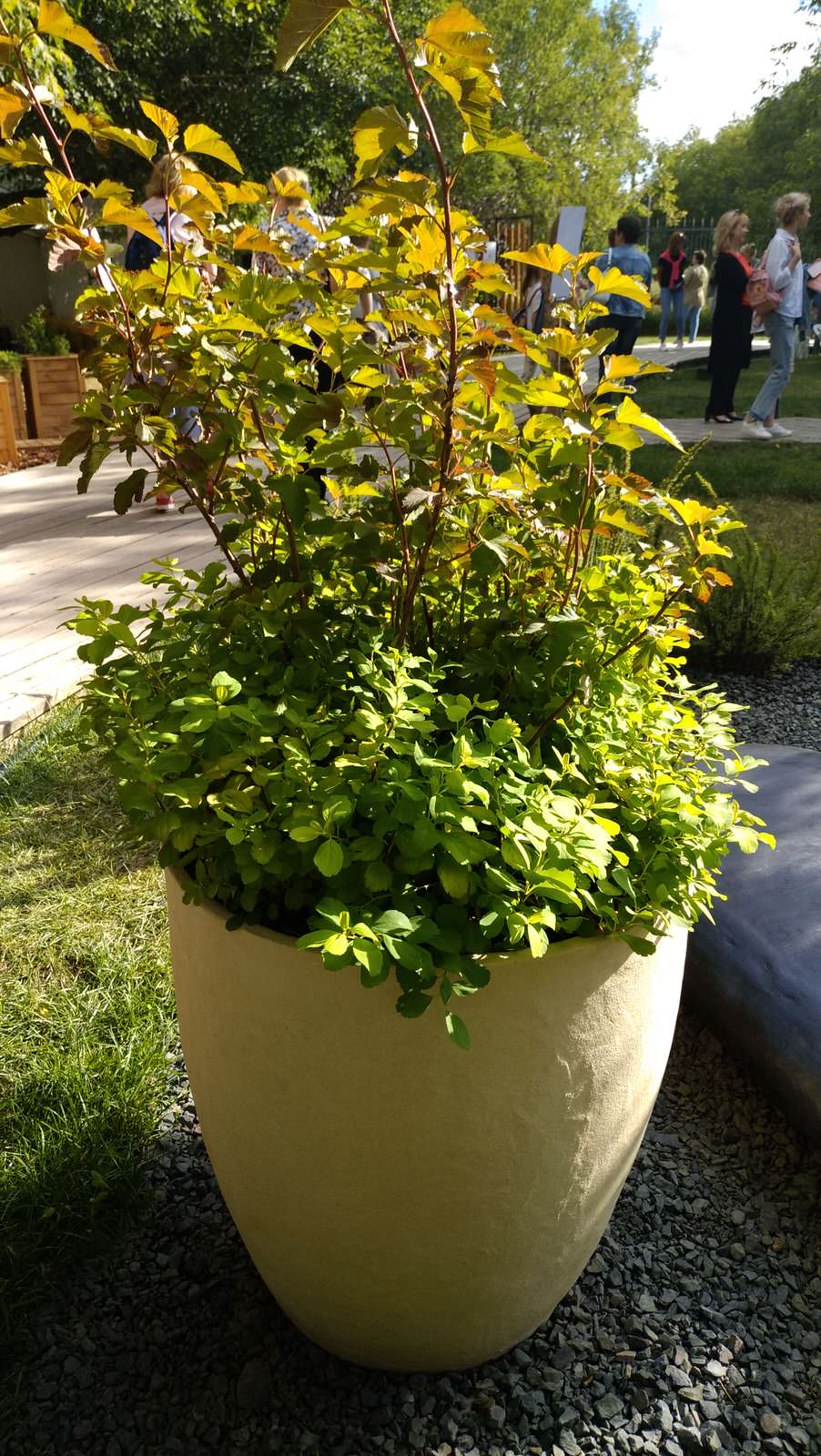 Фестиваль "Moscow Flower Show"