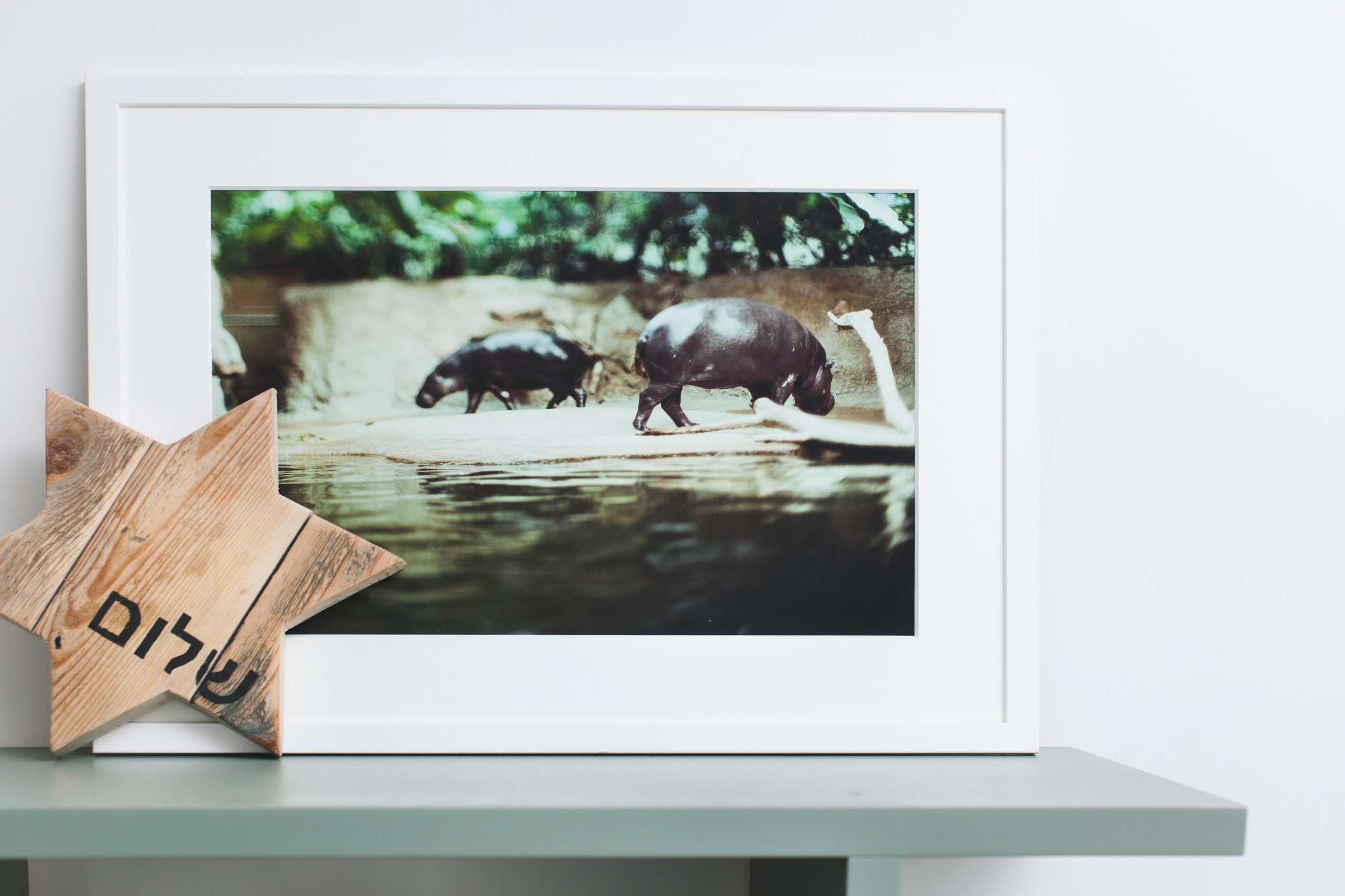 В гостях: Московская квартира со старинными часами и совами