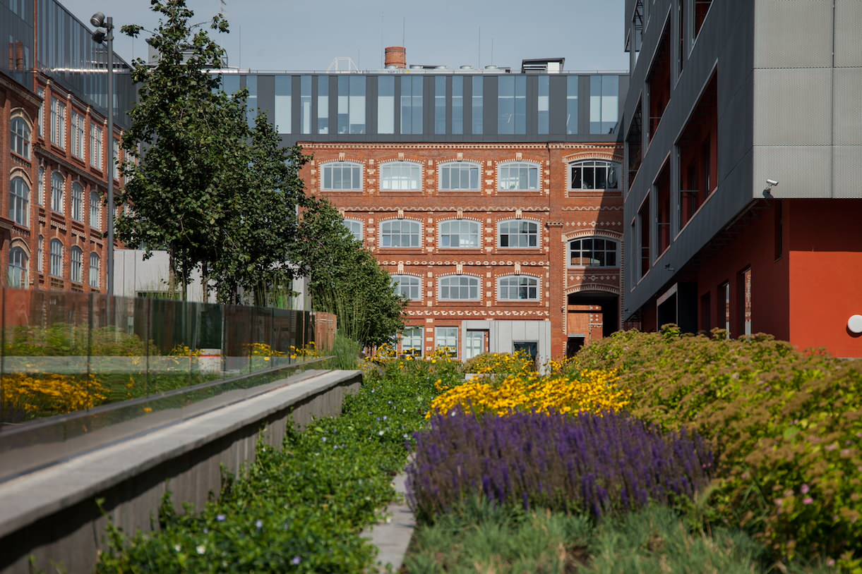 Bolshevik Factory / John McAslan + Partners