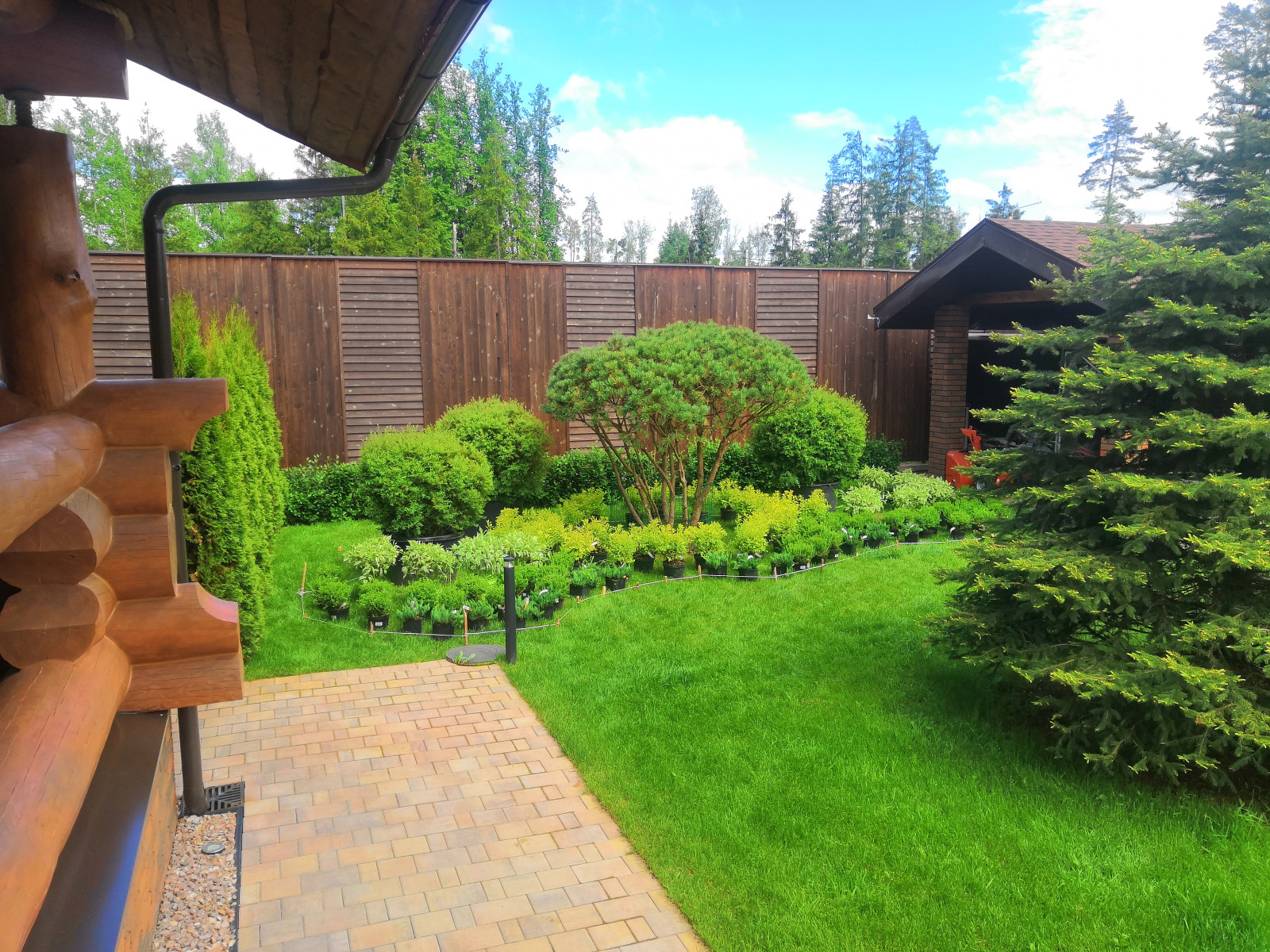 Landscape design of the territory (Moscow region, Green Grove village)