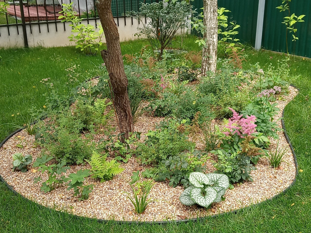 Берёзки и камни