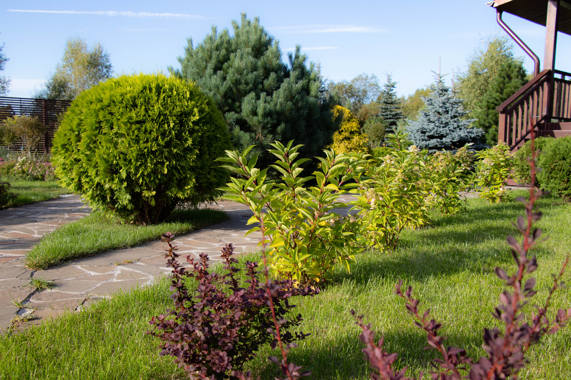 Сосновые берега