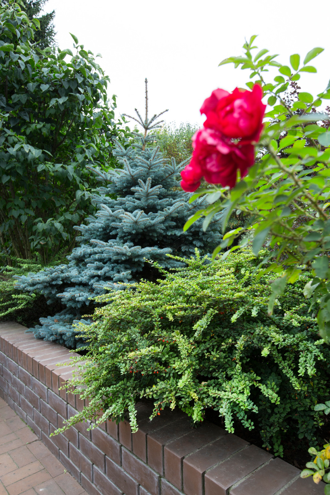 Обложка альбома: Ландшафт