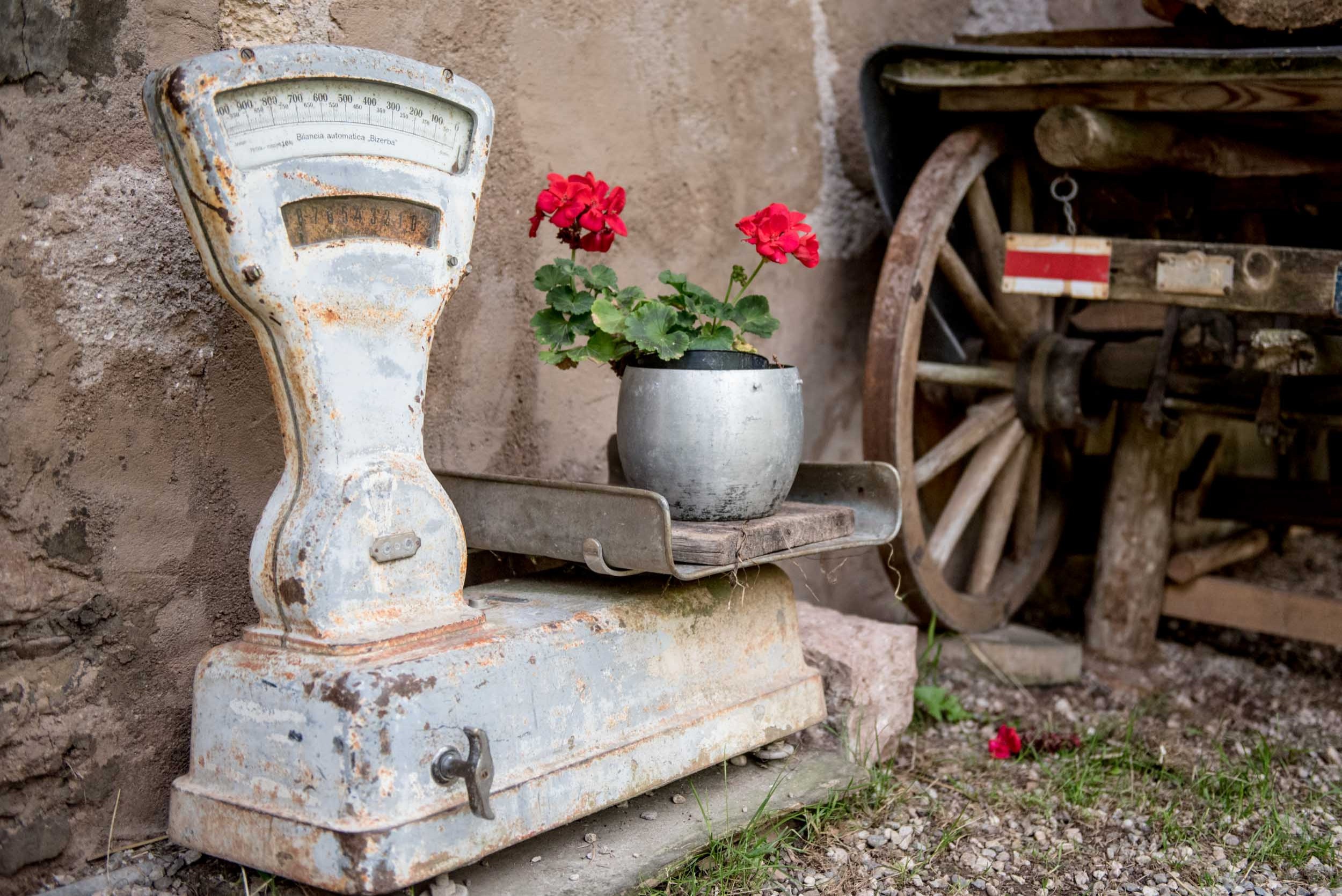 Houzz Италия: Королева альпийского приюта у подножья Доломитов