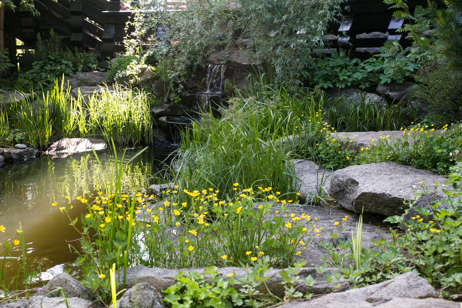 Пейзажные сады