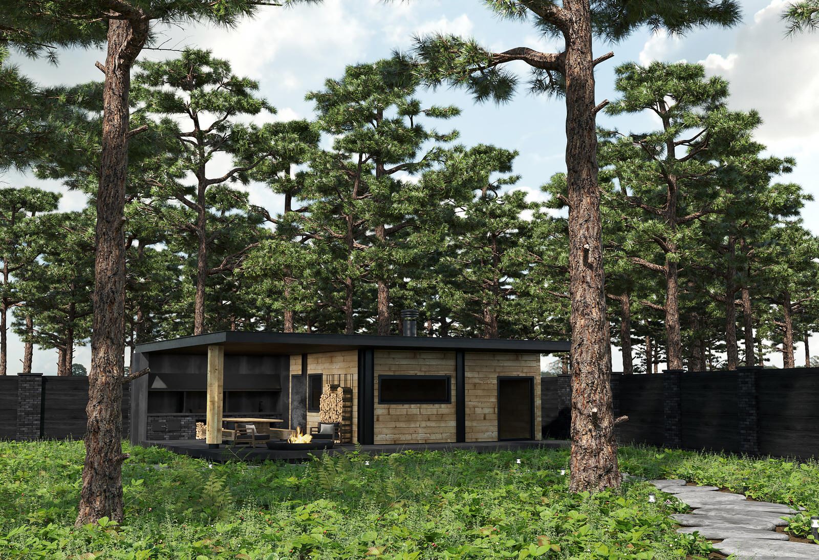 СЕРЕЬРЯНЫЙ ЛЕС