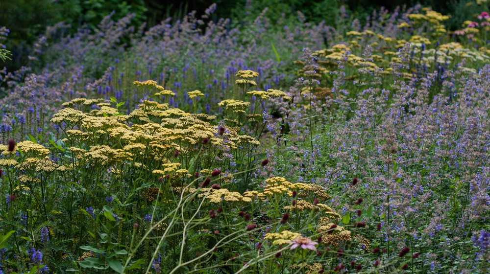 Оттенки синего