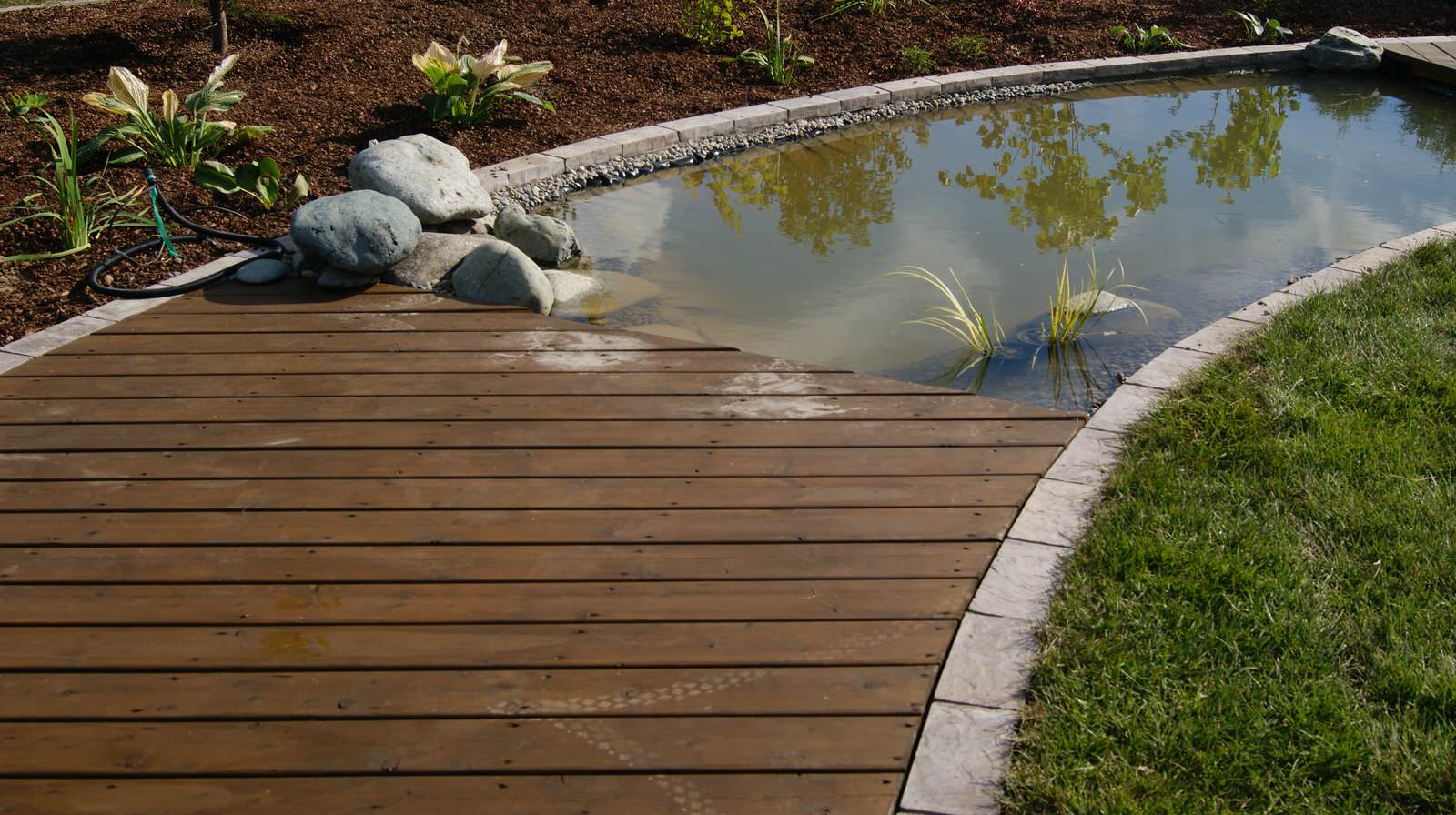 Элегантный Сад