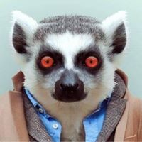 Артем Лебедев