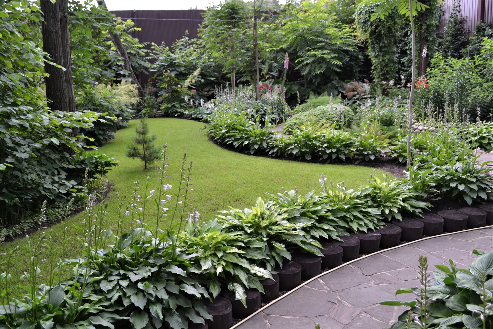 Клуб владельцев частных садов "Цветущая Планета". Сад в лесу и теневые цветники.