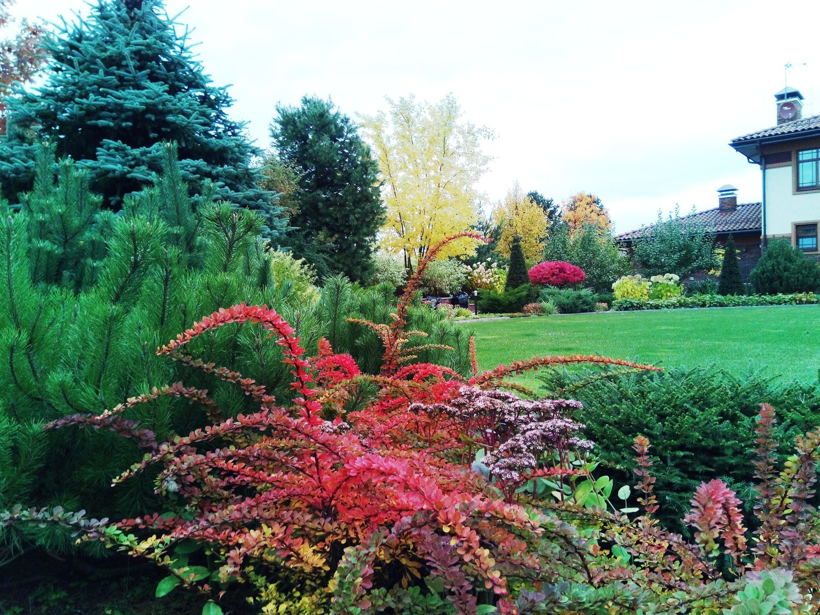 кп "Милениум" - Профессиональный уход за садом - 100% качество!